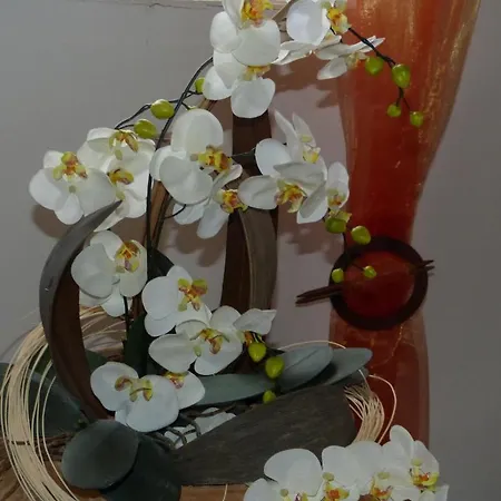 阿尔潘兰德公寓酒店 公寓