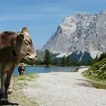 Alpenland Apartmán Lermoos