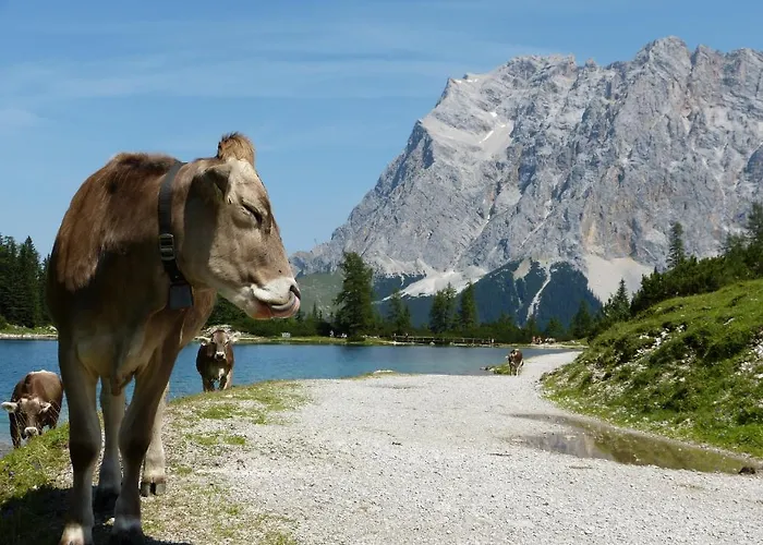 Alpenland Διαμέρισμα Lermoos