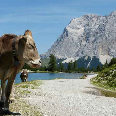 Alpenland Lägenhet Lermoos
